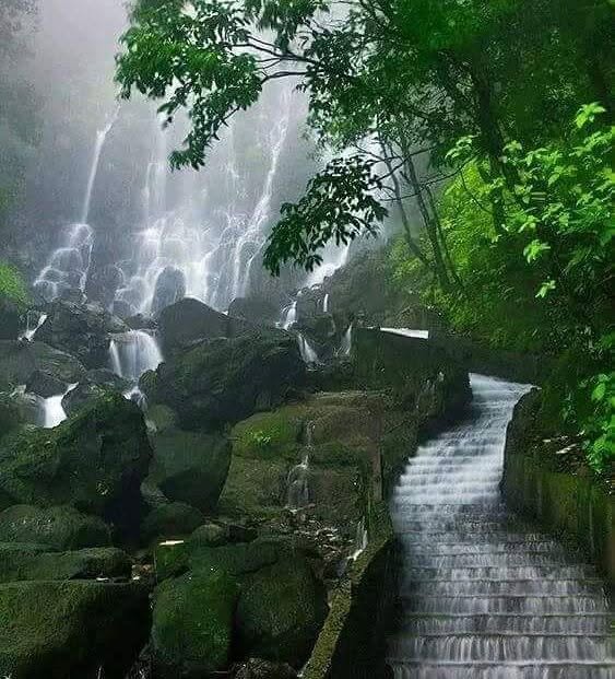 परिवार के अनुकूल स्थान